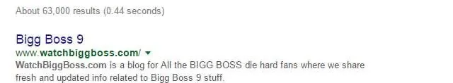 Google result: Bigg Boss 9, www.watchbiggboss.com